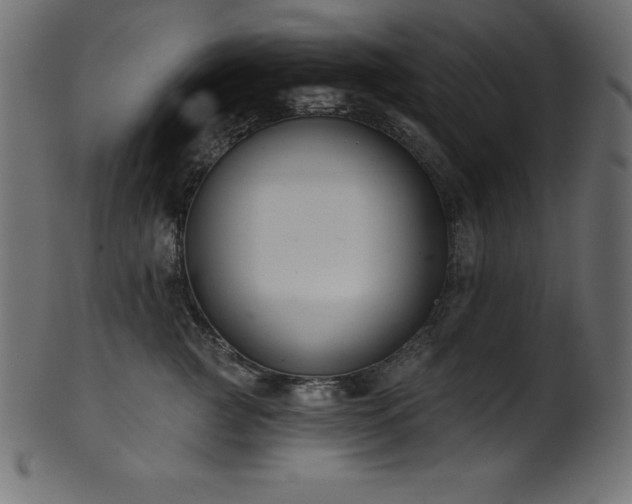 X0000102040761200807181512