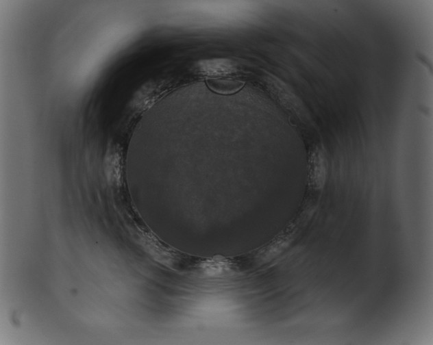 X0000102040762200807181512