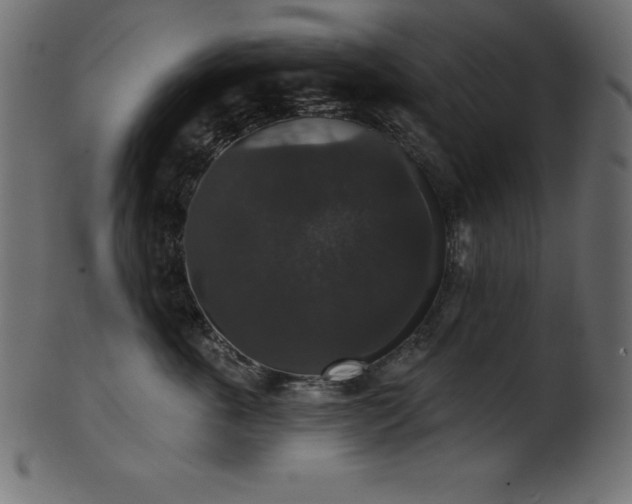 X0000102040763200807181512