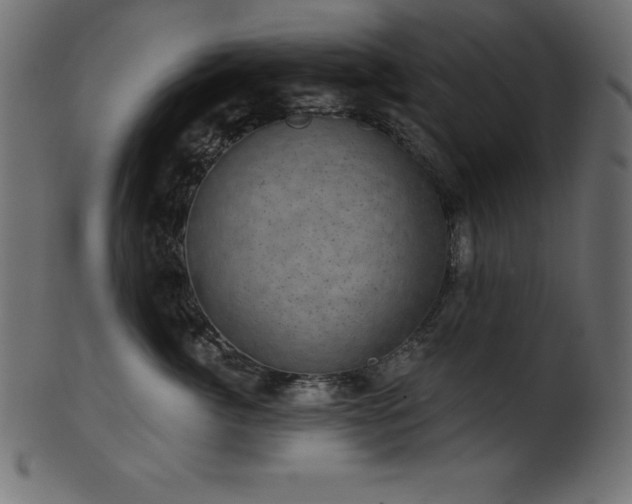 X0000102040764200807181512