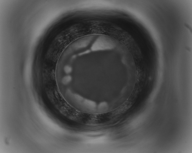 X0000102040765200807181512