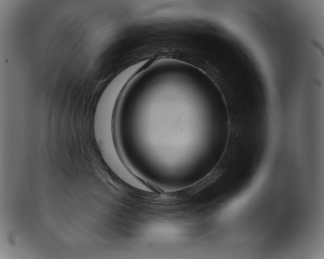 X0000102040766200807181512