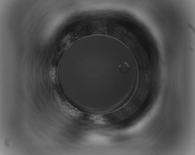 X0000102040767200807181512