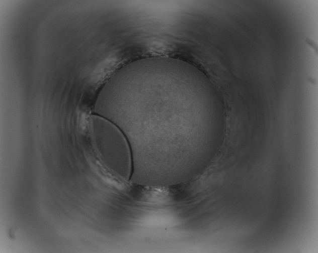 X0000102040768200807181512