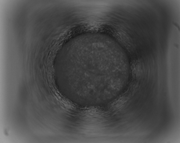 X0000102040769200807181512