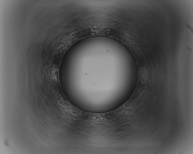 X0000102040770200807181511