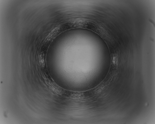 X0000102040771200807181511