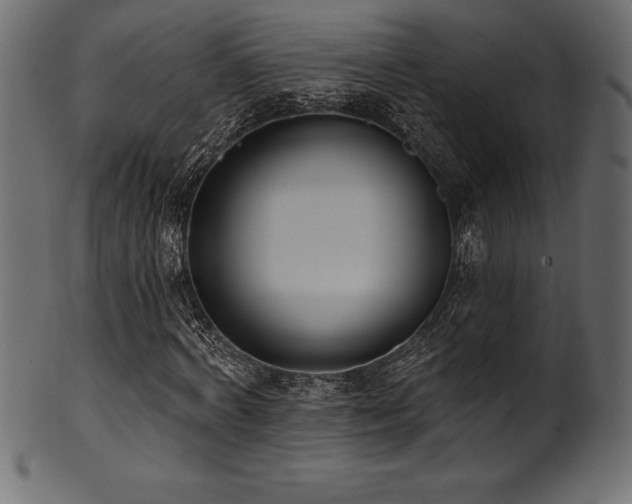 X0000102040772200807181511