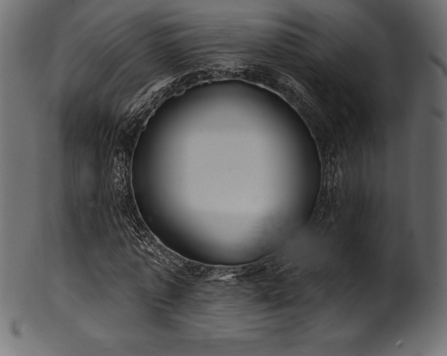 X0000102040773200807181511