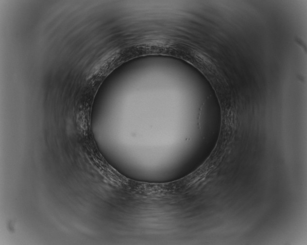 X0000102040774200807181511