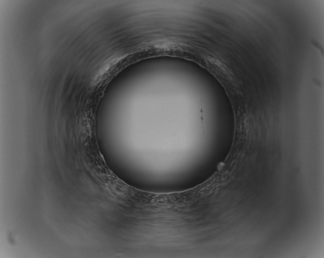 X0000102040776200807181511