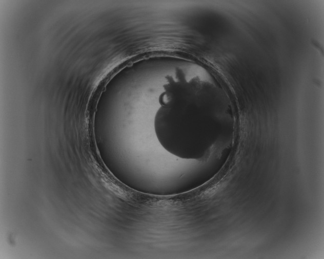 X0000102040779200807181511