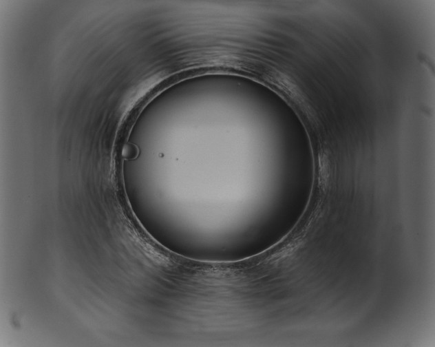 X0000102040780200807181511