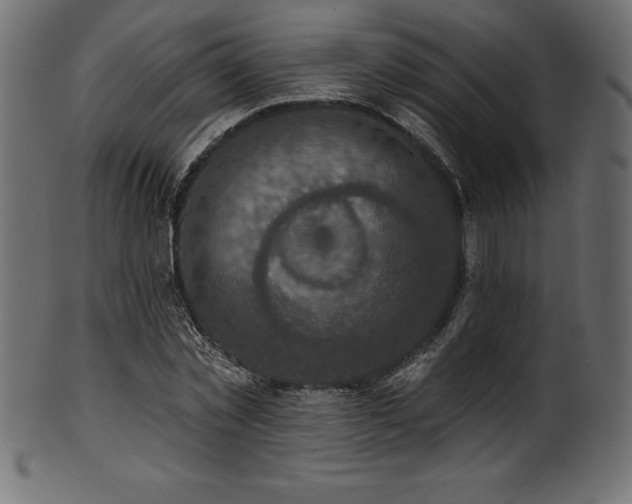 X0000102040781200807181511