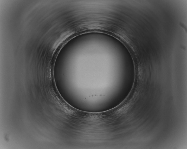 X0000102040782200807181511