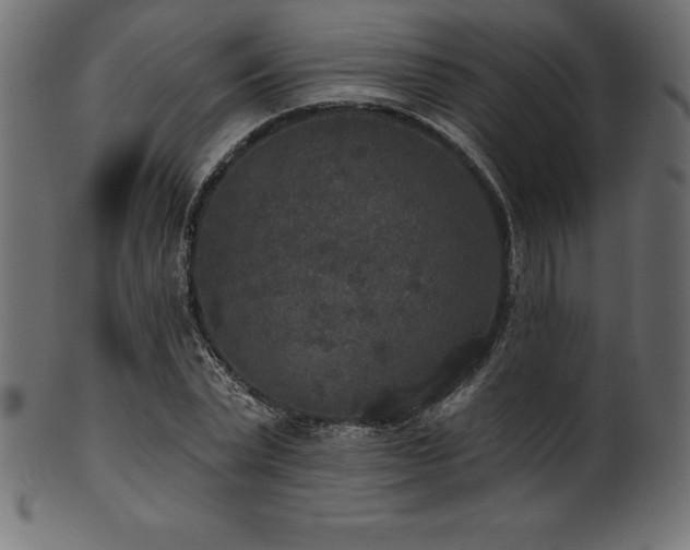 X0000102040783200807181511