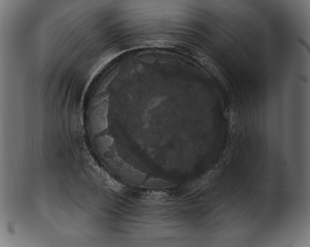 X0000102040784200807181511