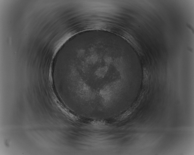 X0000102040788200807181511