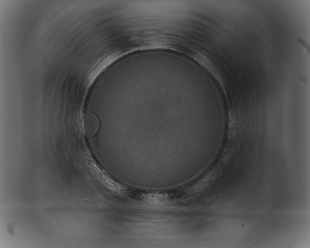 X0000102040789200807181511