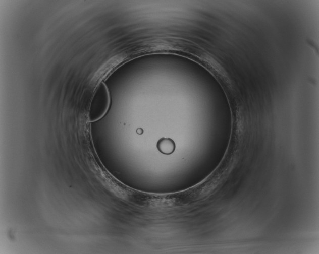 X0000102040793200807181511