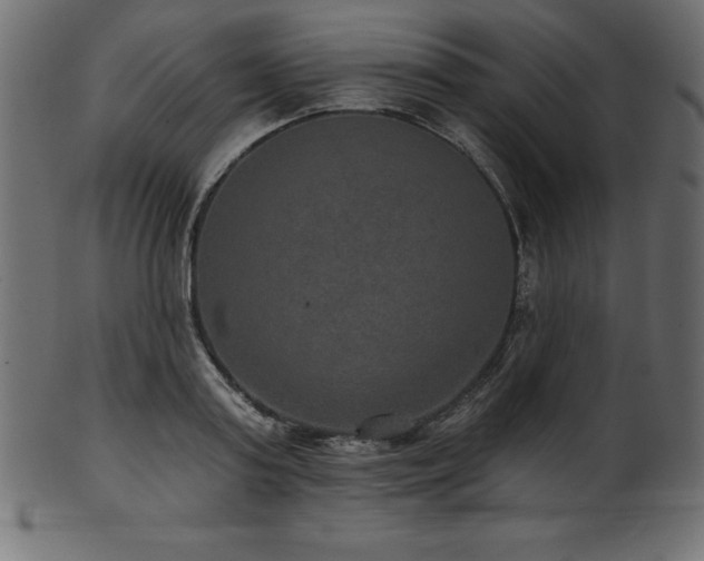 X0000102040795200807181511