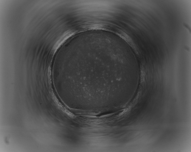 X0000102040798200807181511