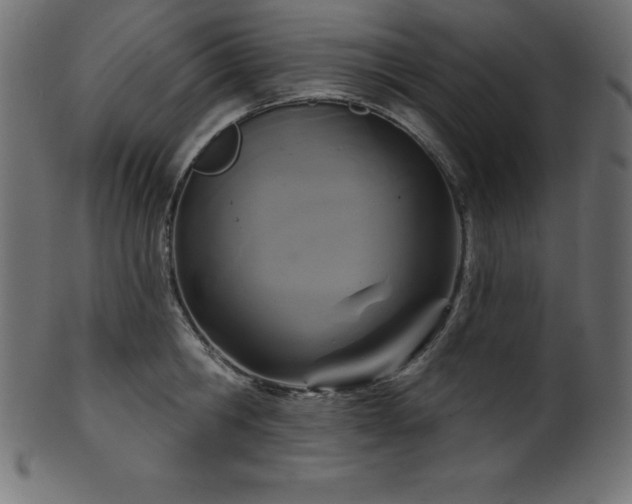 X0000102040806200807181511