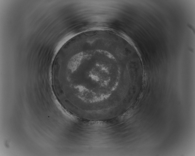 X0000102040811200807181511