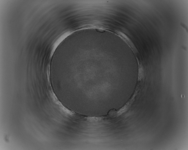 X0000102040812200807181511