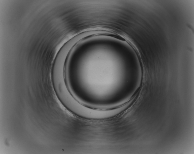 X0000102040813200807181511