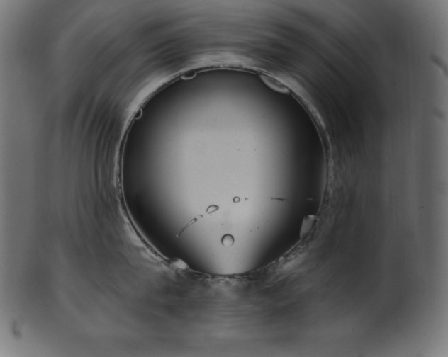 X0000102040815200807181511