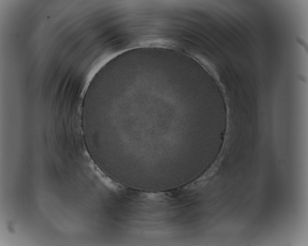 X0000102040816200807181511