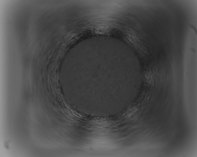 X0000102040817200807181510