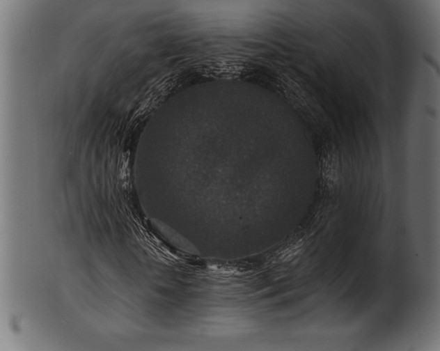 X0000102040818200807181510