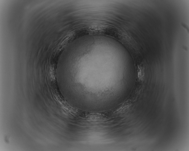 X0000102040819200807181510