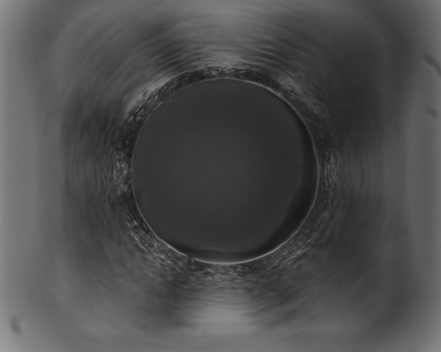 X0000102040822200807181510