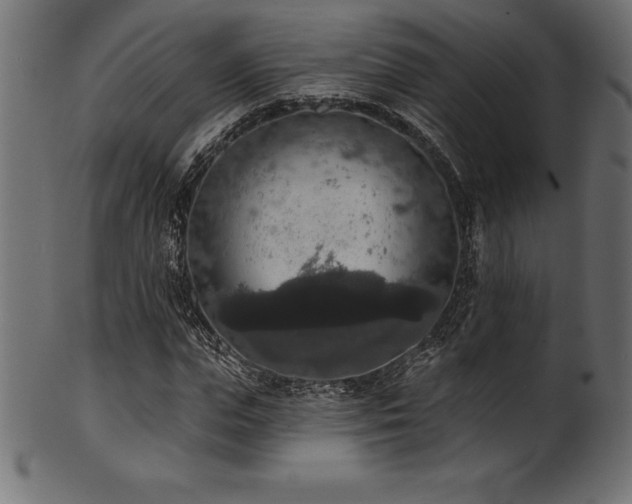 X0000102040823200807181510
