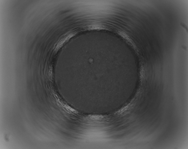 X0000102040825200807181510