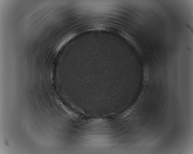 X0000102040826200807181510