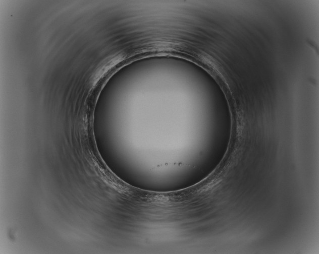 X0000102040827200807181510