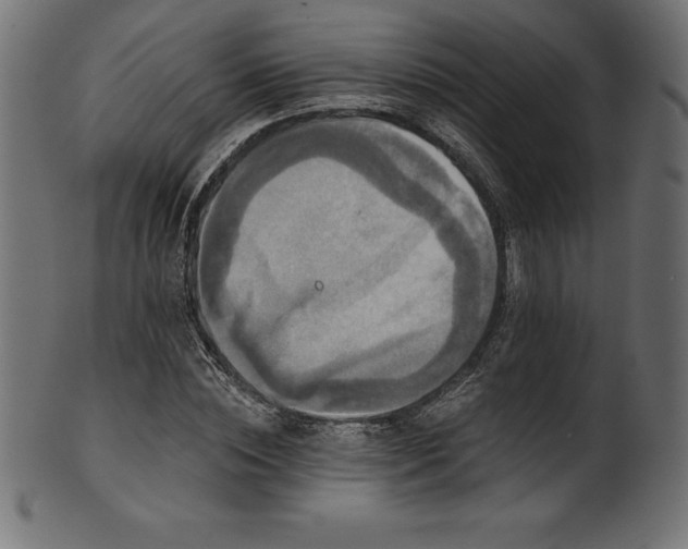 X0000102040828200807181510