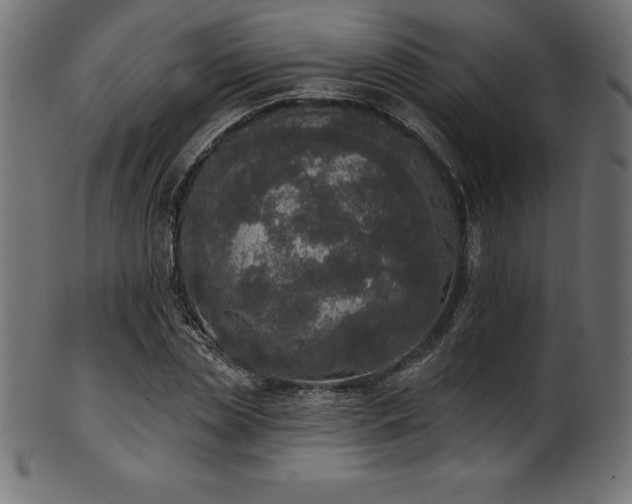 X0000102040829200807181510
