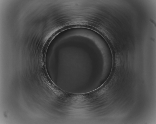 X0000102040830200807181510