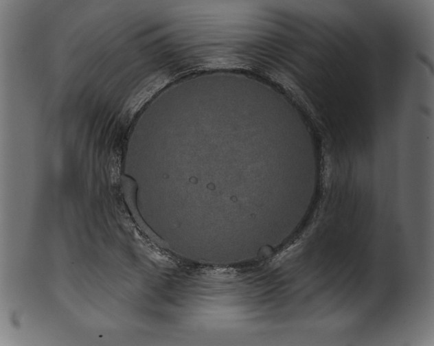 X0000102040833200807181510