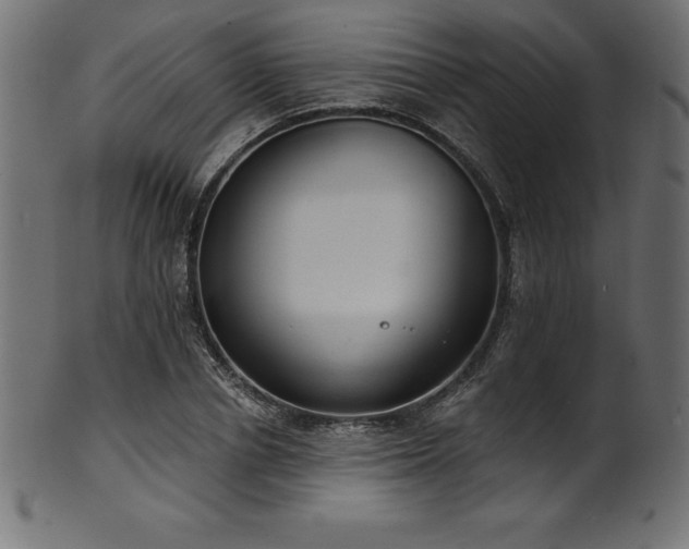 X0000102040834200807181510