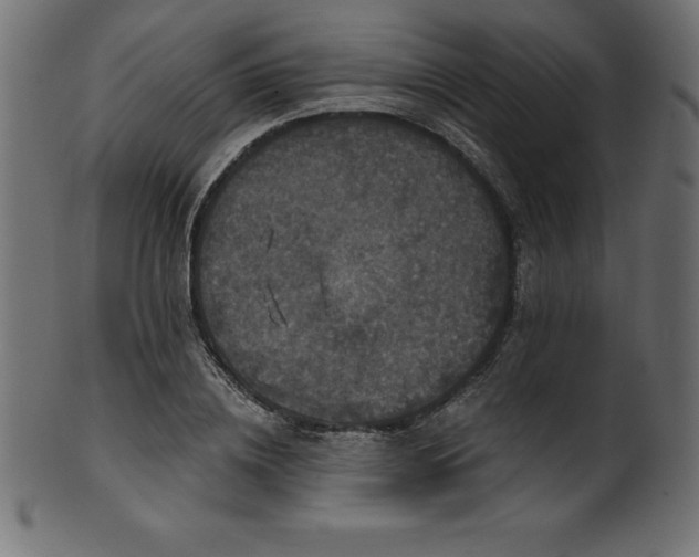 X0000102040836200807181510