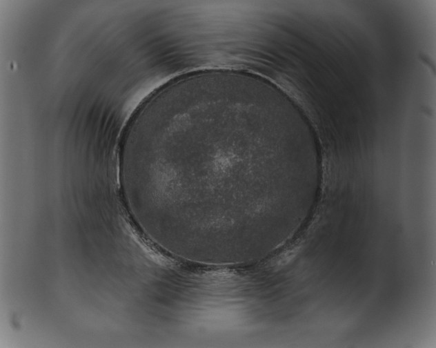 X0000102040838200807181510