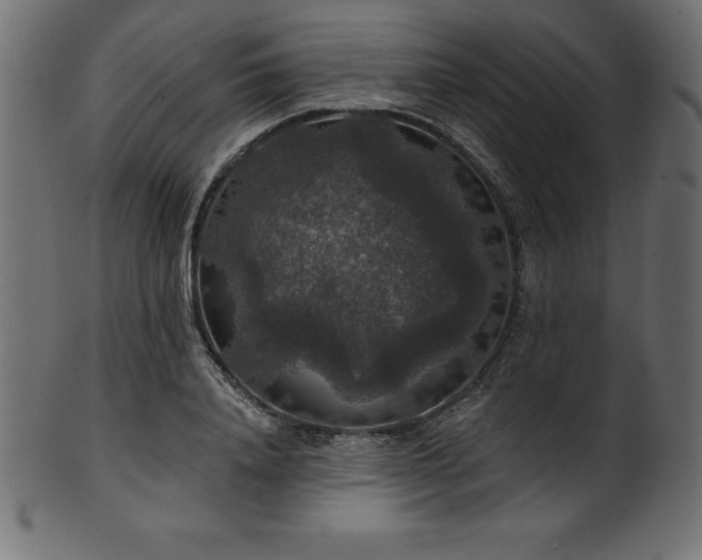 X0000102040840200807181510
