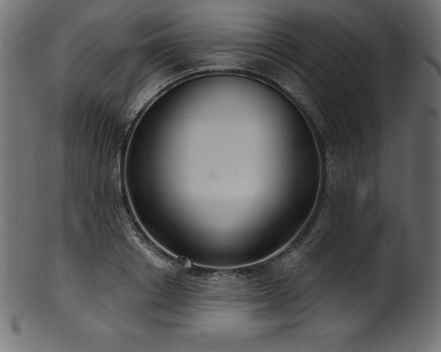 X0000102040842200807181511