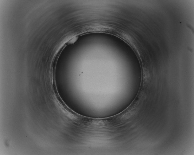 X0000102040843200807181511